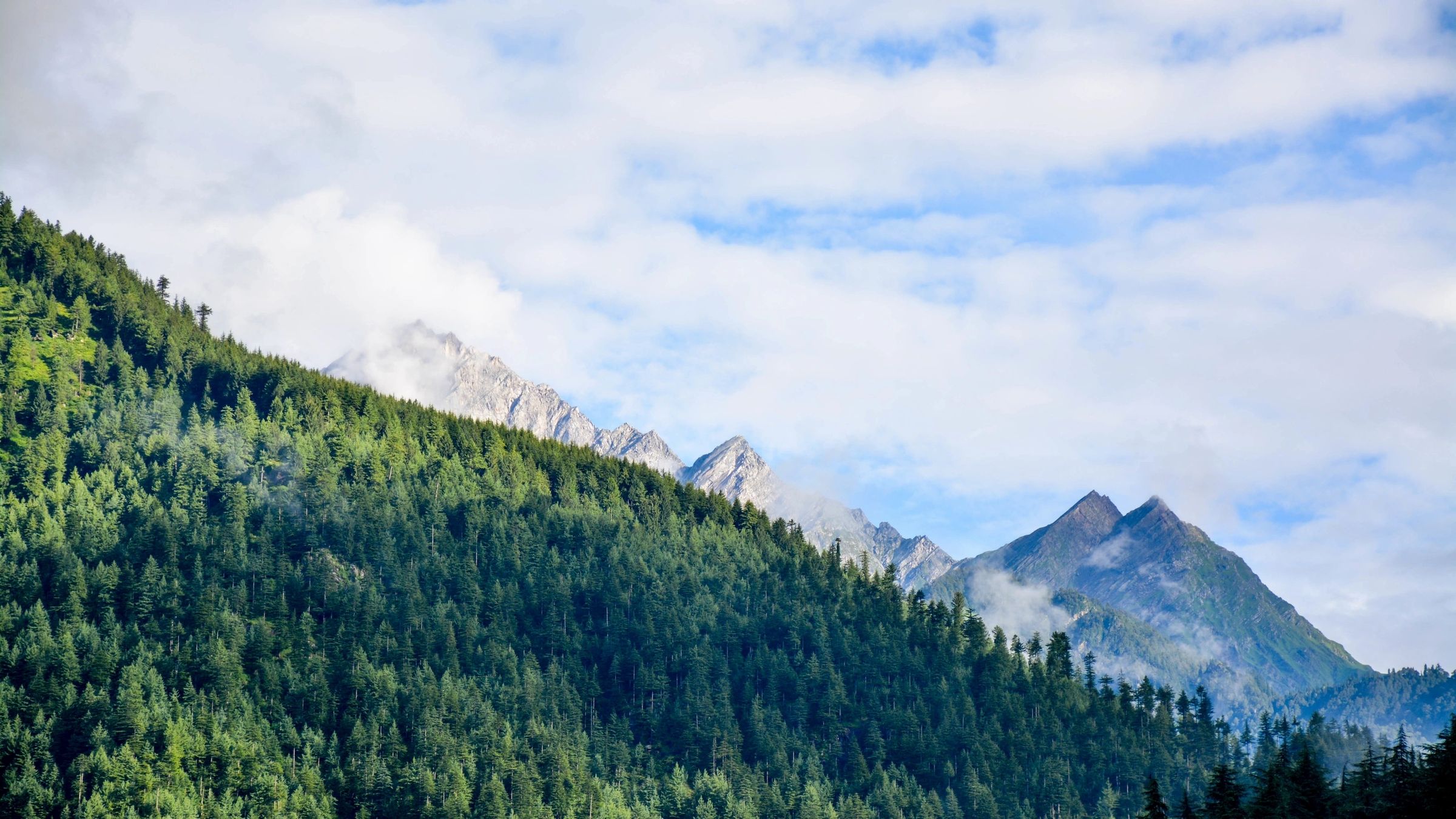 Dynamic Lifecycle Innovations helps companies navigate challenges as reliably as green pine-covered mountains under a vast blue sky.